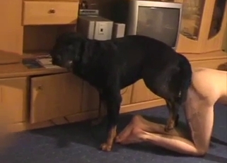 Filthy doggy pounded her juicy wet hole