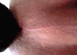 Dog licks her hole with pleasure