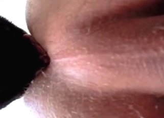 Dog licks her hole with pleasure