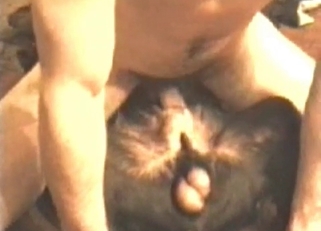 Sweet doggy got nicely stimulated on cam
