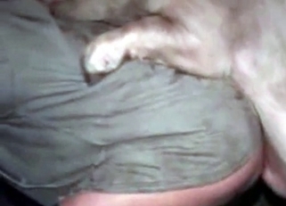 Crazy farm animal fucked his tight ass