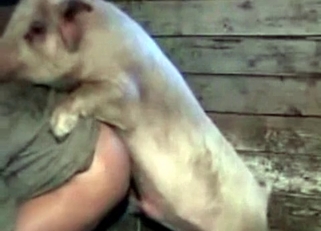 Crazy farm animal fucked his tight ass