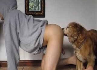 Stunning hottie and two lovely big dogs