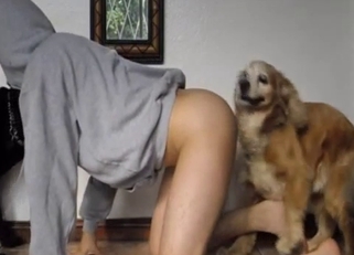 Stunning hottie and two lovely big dogs