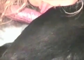 Raven-haired dog in amateur animal sex XXX
