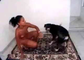 Small pet and ebony in amateur animal sex XXX