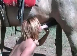 Blonde slut gives a blowjob for a horse