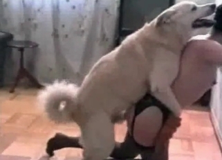 White doggy fucked her twat so hard