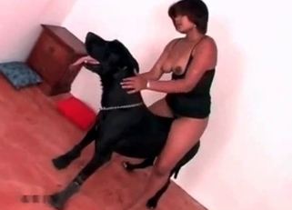 Beauty babe and black dog having nice sex