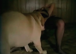 Fucking her tight cunt in missionary pose