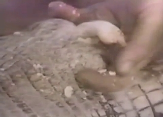 Crazy zoophiles are fucking with a crocodile