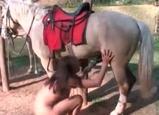 Ebony doll sucks a nice huge stallion