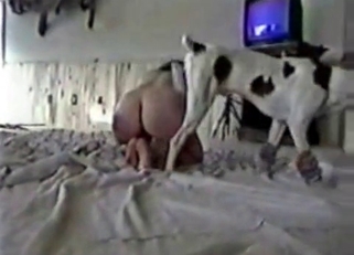 Spotted dog fucked her tight cunt