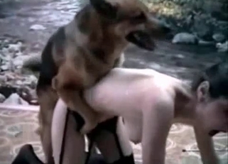 Trained shepherd fucked her wide ass