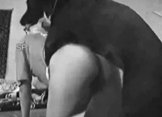 Sexy trained dog licks her juicy hole