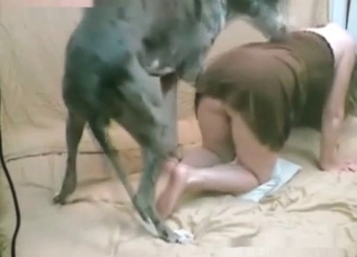 Grey doggy is enjoying nasty bestiality XXX