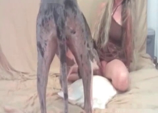 Grey doggy is enjoying nasty bestiality XXX