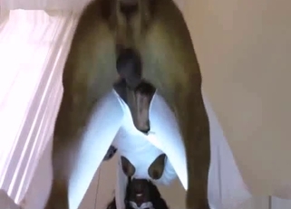 Slender ebony fucked hard by her own dog
