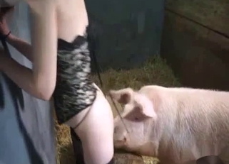 Filthy pink pig fucked her tight cunt