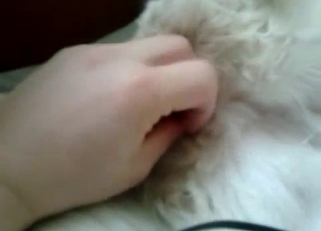 Awesome amateur dog bestiality action