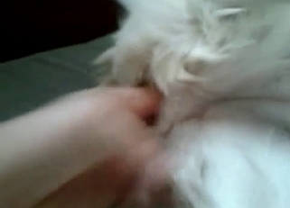 Awesome amateur dog bestiality action