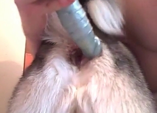What a good dog I can fuck with