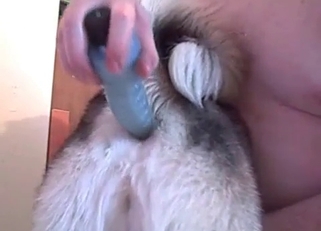 What a good dog I can fuck with