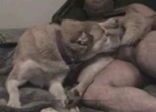 Banging my lovely doggy in the bedroom