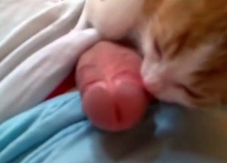 Small kitty licks my hard prick