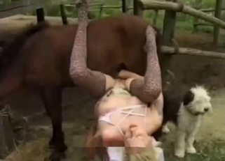 Beauty blonde chick is getting fucked by stallion