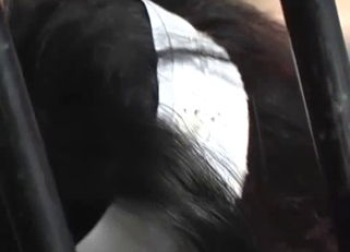 Asian zoophile slut eats fresh worms