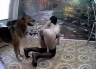 Shepherd penetrated her juicy wet cunt