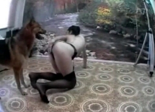 Shepherd penetrated her juicy wet cunt
