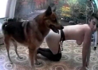 Shepherd penetrated her juicy wet cunt