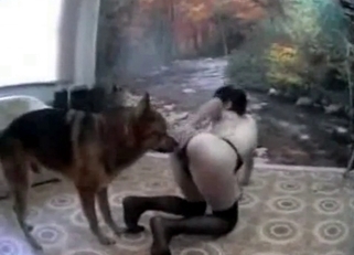 Shepherd penetrated her juicy wet cunt