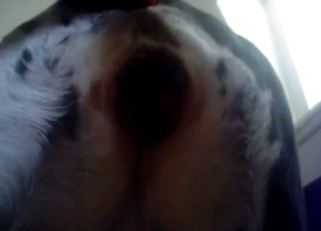 Shoving my huge dick in doggy ass