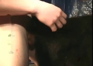 Perfect black dog enjoys nasty bestiality