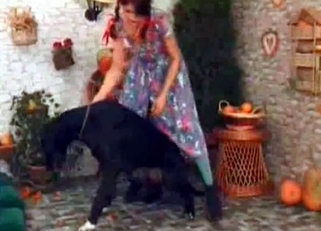 Sweet chick and her trained young dog