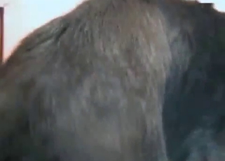 Pretty chick really likes her doggy