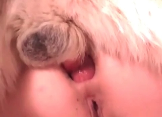 Sexy chick is trying anal sex with dog