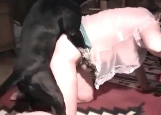 Sexy chick is trying anal sex with dog