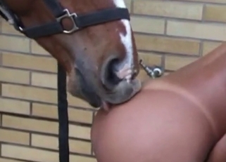 Beast with huge dick and amazing zoophile