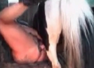 Small pony and awesome farm BBW have sex