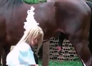 Beautiful babe stimulates horse dick