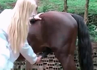Beautiful babe stimulates horse dick
