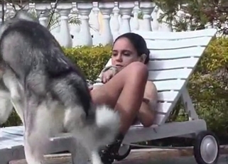 Husky licks her wide-opened crack