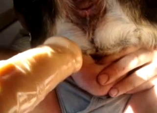 Owner stick a dildo in his animal ass