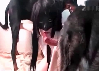 Black dog hardly pounds her wet cunt
