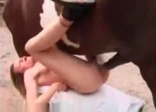 Stunning brown horse nicely fucked her cunt