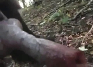 Dude is fucking with his trained animal